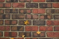 SRO_Indy_10_15_25_142339_FH_1556