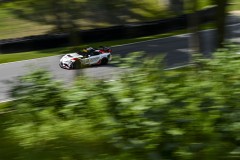 SRO_RA_08_14_123435_FH_9010A-Custom