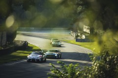 SRO_RA_08_15_180311_FH_5346-Custom